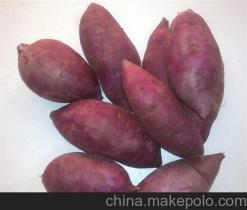 大理州紫薯種植基地銷售廠家價格供應商詳解——冠縣樂農紫薯種植專業合作社